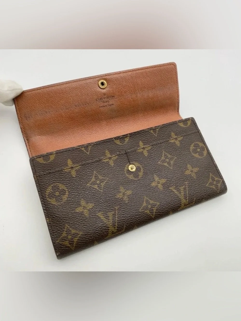 Louis Vuitton brand louis